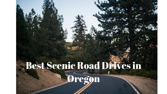 Best Scenic Road Drives in Oregon 1