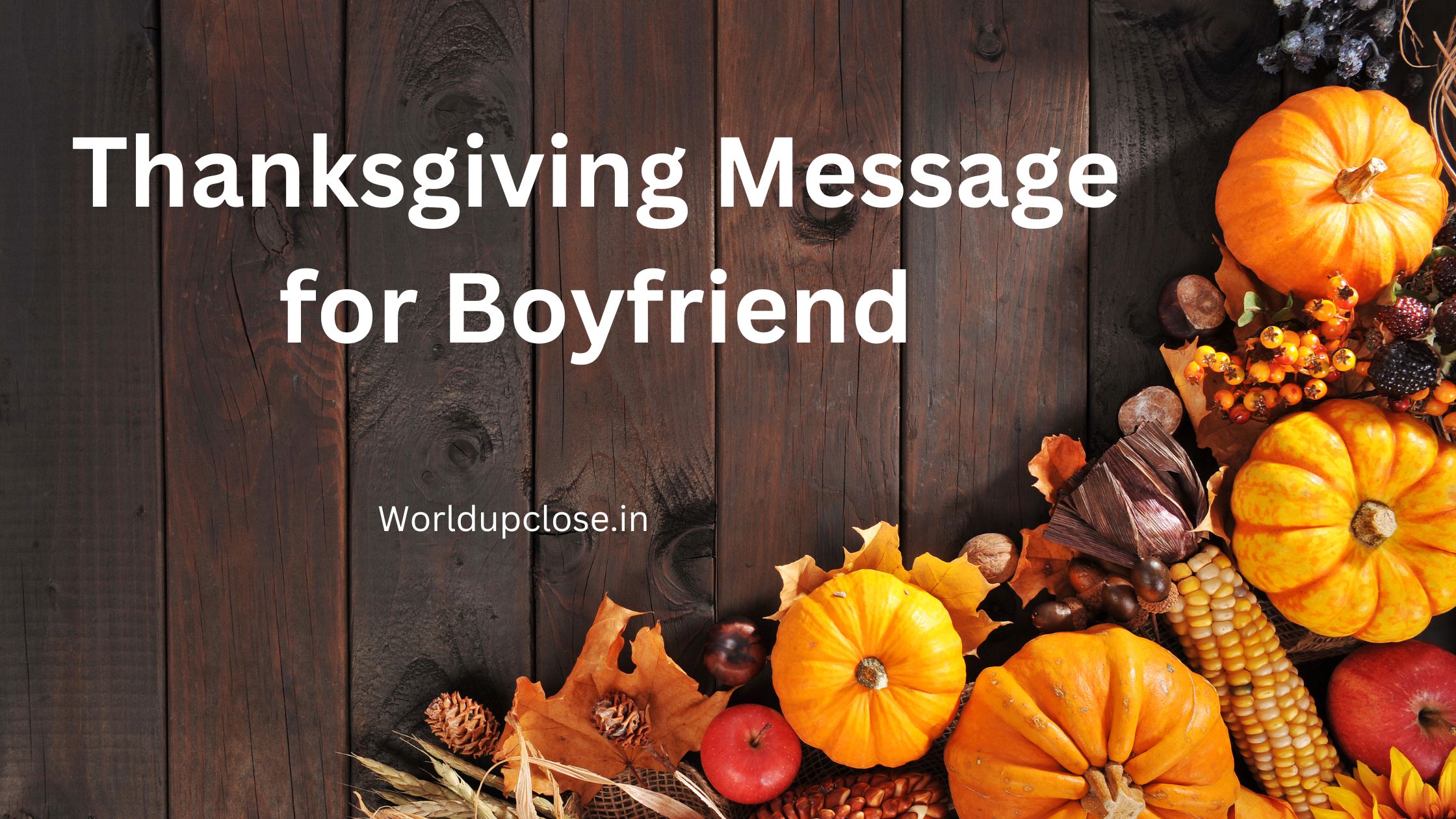 35 Sweet Thanksgiving Message for Boyfriend 30