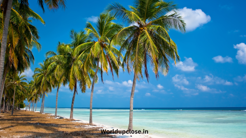 12 Things to do in Lakshadweep